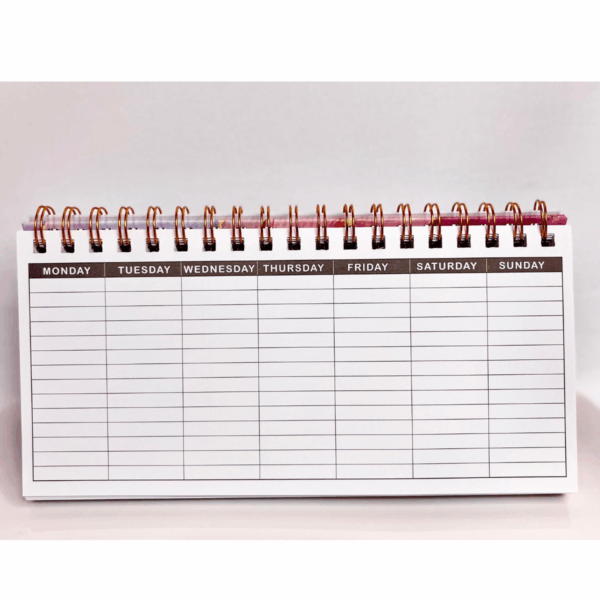 98 AGENDA PROGRAMADOR